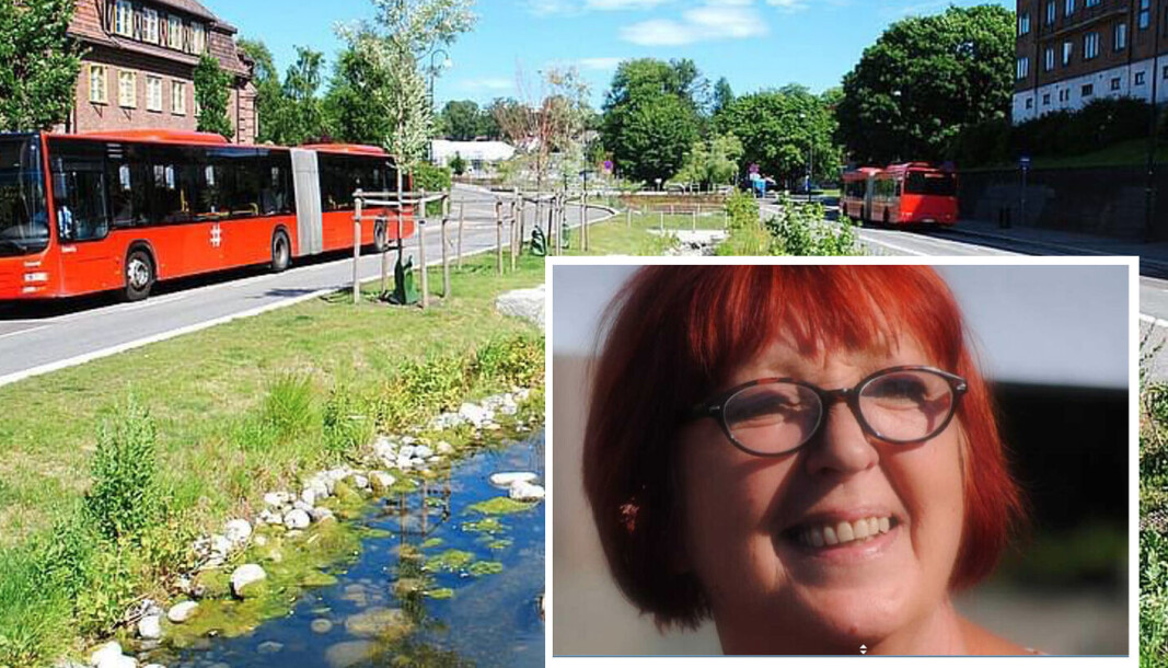 Det er altså sånn at til flere billetter man kjøper til billigere blir det? Hvis dette gjelder kun hvis man kjøper billettene digitalt kan jeg opplyse om at det finnes folk i dette landet som ikke er digitale av mange forskjellige årsaker, sier Johanna Engen i dette innlegget. Det er altså sånn at til flere billetter man kjøper til billigere blir det? Hvis dette gjelder kun hvis man kjøper billettene digitalt kan jeg opplyse om at det finnes folk i dette landet som ikke er digitale av mange forskjellige årsaker, sier Johanna Engen i dette innlegget.