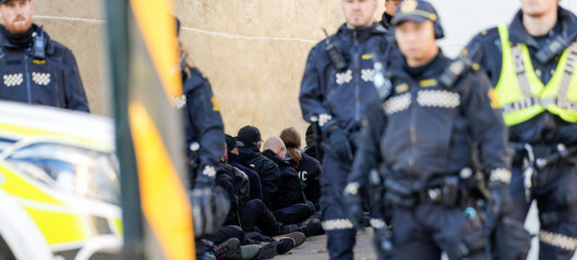 Politiet pågrep 30 utenlandske borgere under nazidemonstrasjonen