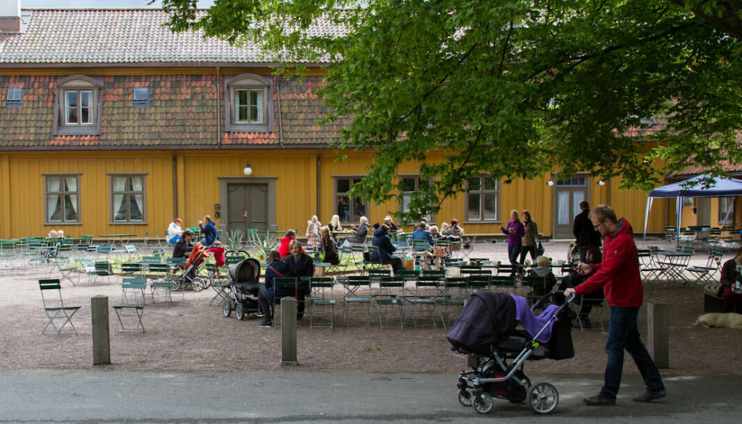 Mattilsynet fant avføring fra mus bak kjøleskap på kjøkkenet, under salgsdisken og på gulvet bak kasser i utsalgsområder. Mattilsynet fant avføring fra mus bak kjøleskap på kjøkkenet, under salgsdisken og på gulvet bak kasser i utsalgsområder.