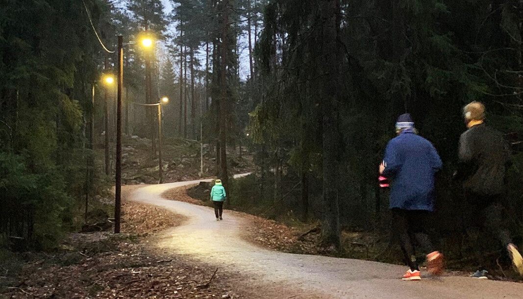 Høst i Grinda Lysløype på Sognsvann, men heldigvis er det lys. Høst i Grinda Lysløype på Sognsvann, men heldigvis er det lys.