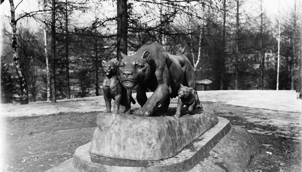 Løvinne med unger i parken på St. Hanshaugen. Løveungen til høyre i bildet er den som er forsvunnet.