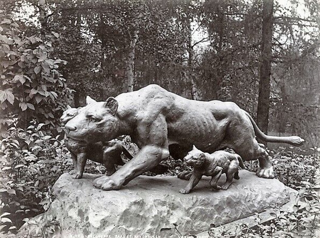 Løvinne med unger, ca 1900. Løvinne med unger, ca 1900.