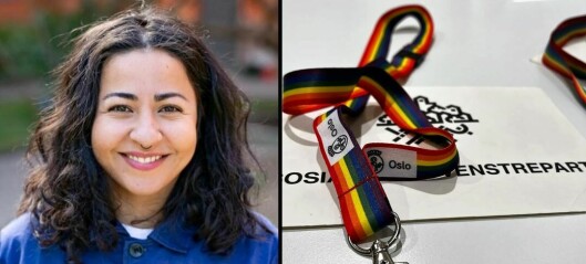 – Bydelsdirektøren i Gamle Oslo kaller regnbuen for en «politisk preferanse». Hvilken politisk preferanse står regnbuen for?