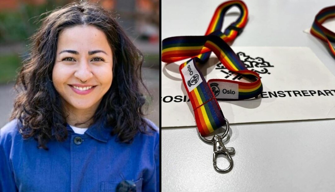 Regnbuesymbolet signaliserer trygghet for oss skeive. Det er ingen garanti. Men å se symbolet bidrar til at man som skeiv senker skuldrene og opplever et rom som trygt, sier Nina Bahar Regnbuesymbolet signaliserer trygghet for oss skeive. Det er ingen garanti. Men å se symbolet bidrar til at man som skeiv senker skuldrene og opplever et rom som trygt, sier Nina Bahar