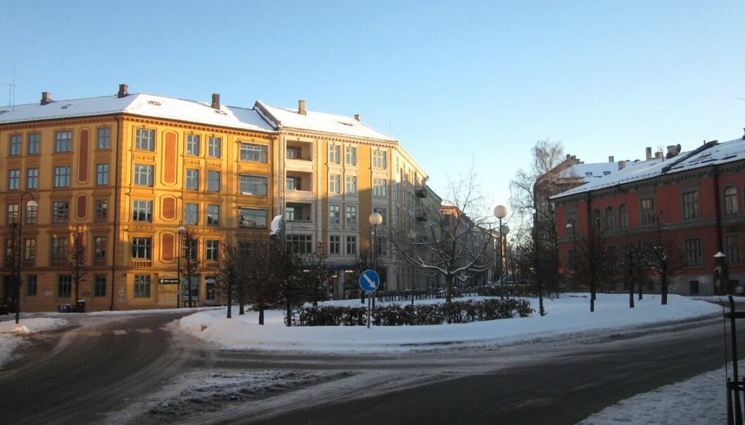 Vinterbilde av Harald Hårdrådes plass uten julegran. Blir det sånn i jula også? I så tilfelle er det første gang på mange år julegrana i Gamlebyen ikke tennes. Vinterbilde av Harald Hårdrådes plass uten julegran. Blir det sånn i jula også? I så tilfelle er det første gang på mange år julegrana i Gamlebyen ikke tennes.