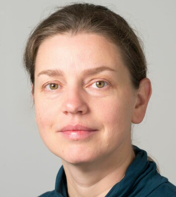 Seniorforsker Ingrid Sundvor ved TØI.