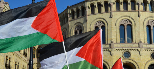 Oslo kommune skal flagge med Palestina-flagg