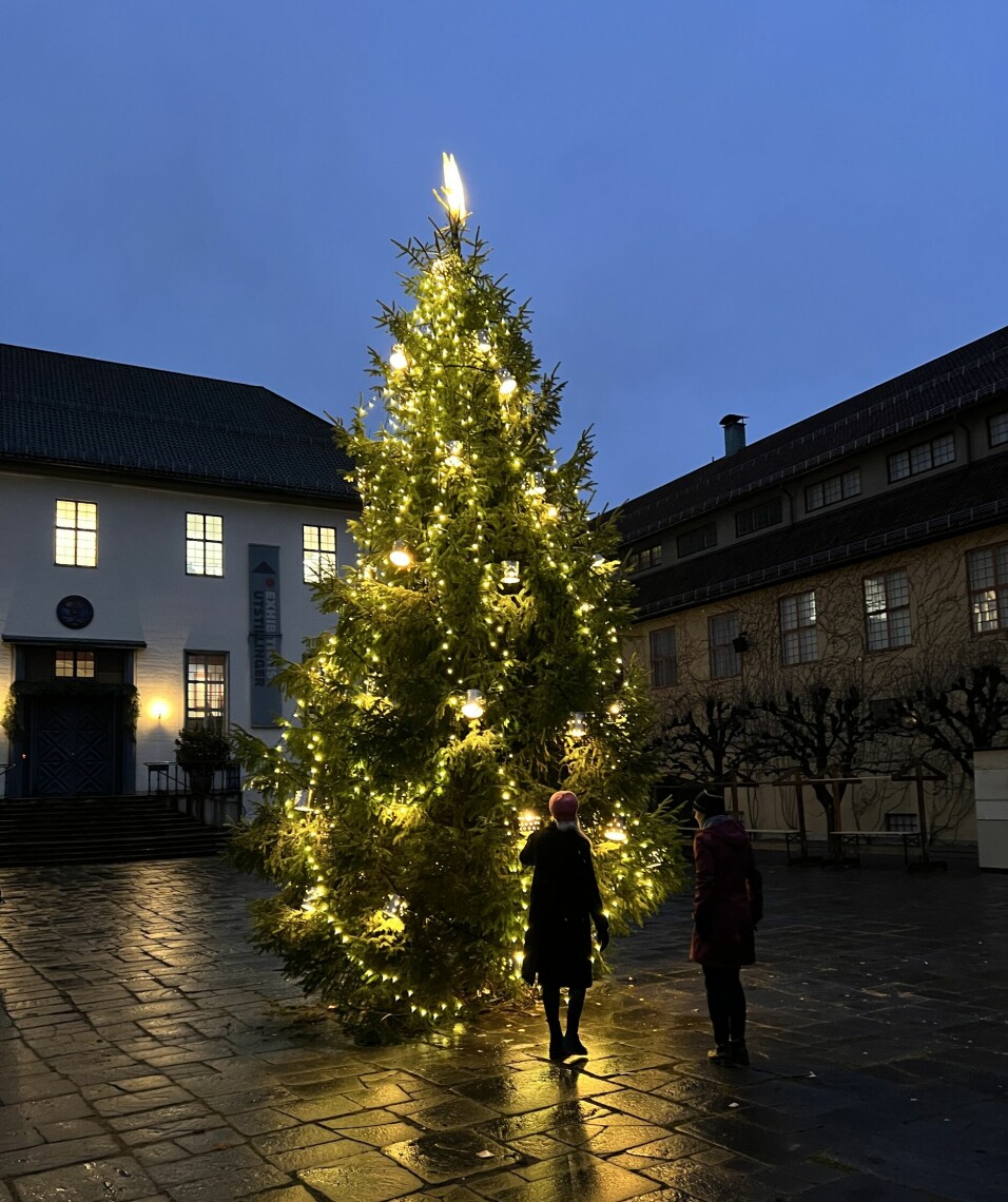Årets juletre på Norsk Folkemuseum er i rett og slett et blikkfang i år.