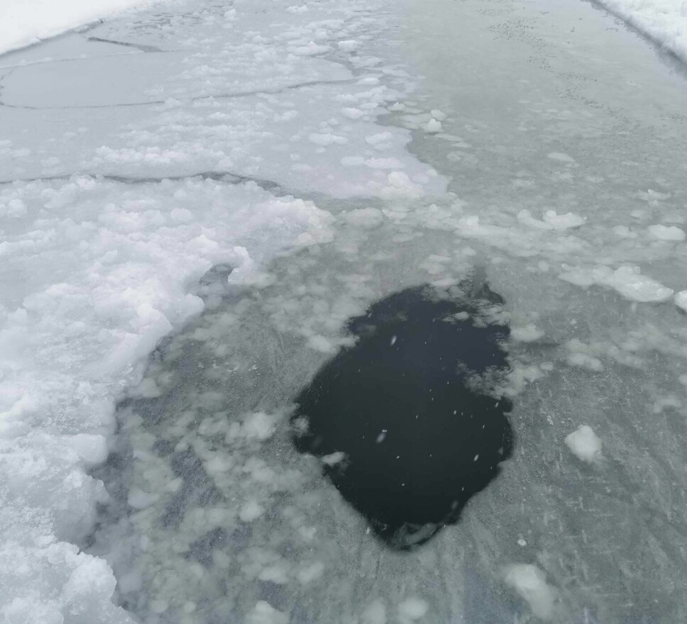 Livsfarlige hull i isen både ved Sognsvann og Steinbruvann er oppdaget av bymiljøetaten søndag.