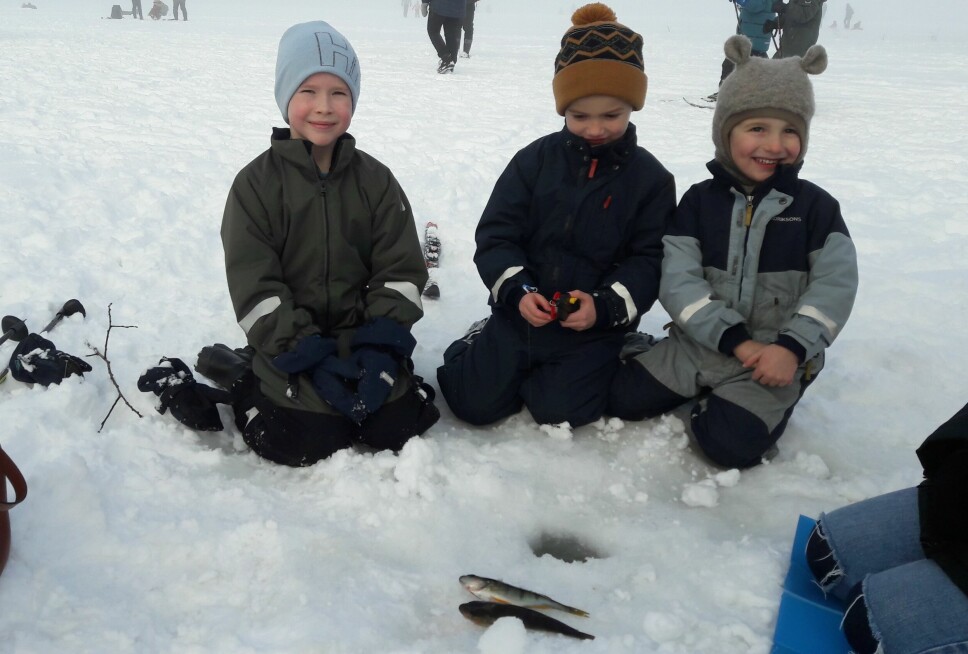 Det ligger allerede to abbor på isen, og Magnus (8), Aksel (6) og Emil (4) venter spent på neste napp