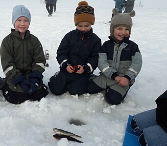 - Det er viktig å komme seg ut! På Sognsvann fikk mange sitt aller første møte med isfiske under «Kom deg ut-dagen»