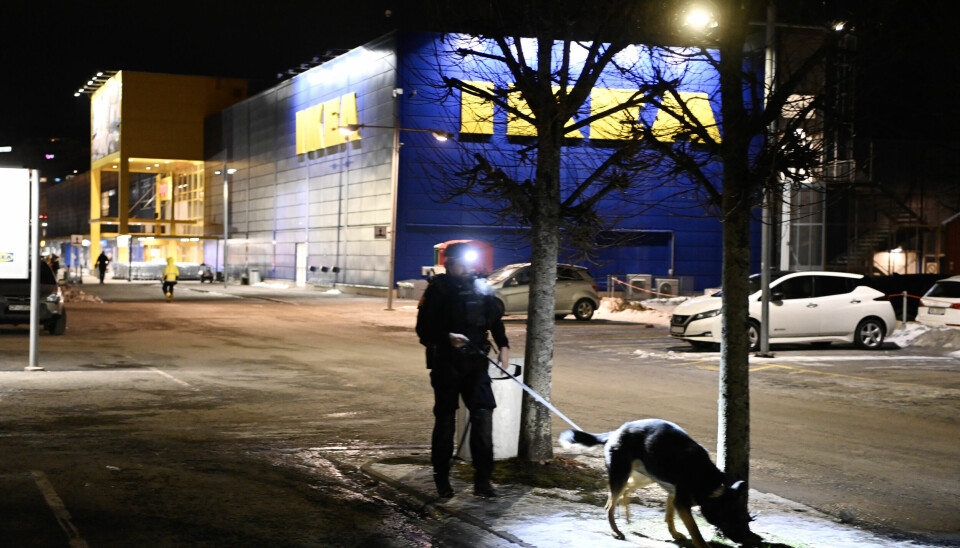 Politimann med hund på p-plass like ved Ikea Furuset, der det skal ha blitt avfyrt flere skudd tirsdag kveld.