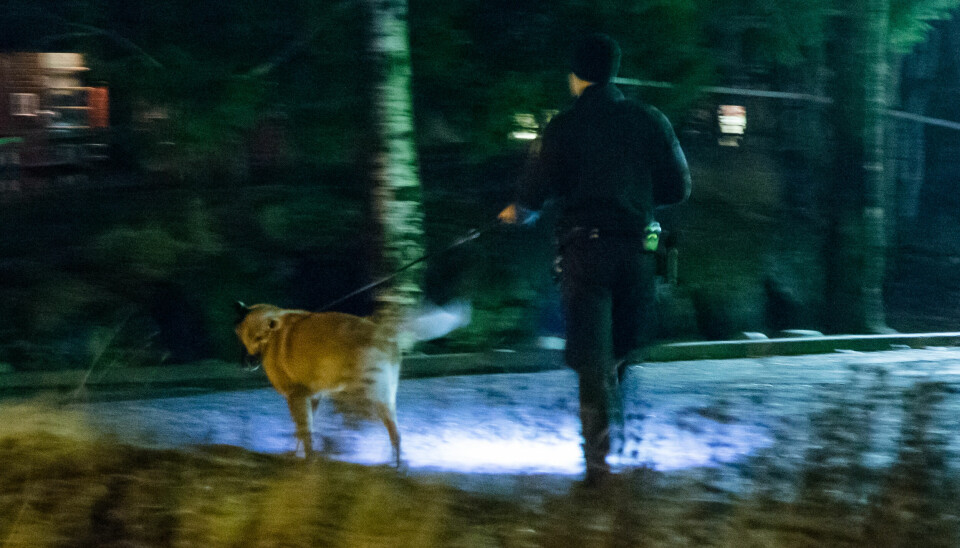 En hundepatrulje fra politiet søker etter spor på stedet.