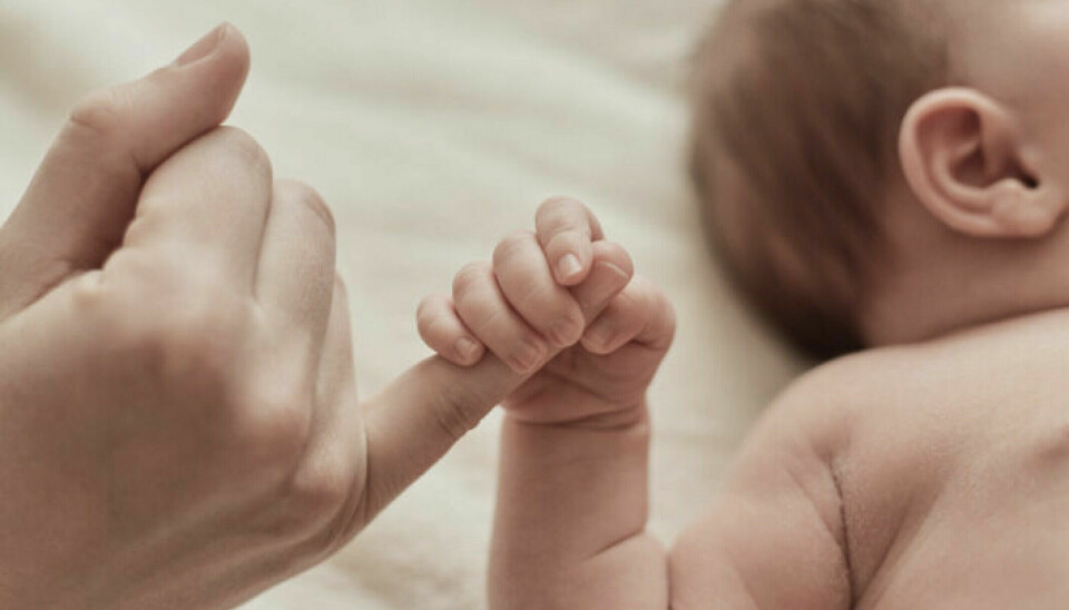 Nyfødt barn holder voksen rundt lillefingeren. Illustrasjonsfoto.