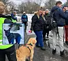 Mange tobente og firbente bidro i søk etter nakenhunden Nilsen på Bygdøy sist helg.