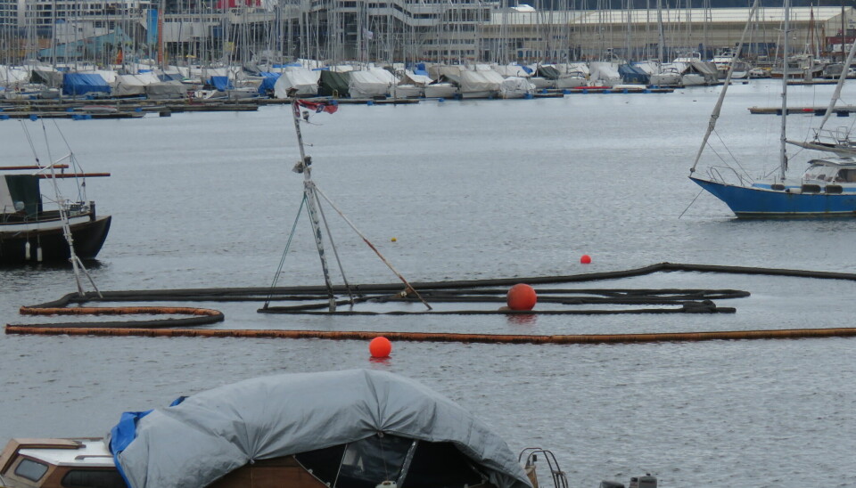 I Frognerkilen utenfor Bygdøy ligger det flere tomme båter, og mange har ligget siden sommeren 2022.. Her har en av båtene også gått under.
