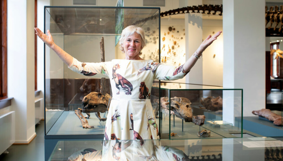 — Prisen er en stor anerkjennelse av at Naturhistorisk museum leverer høy kvalitet på alle sine samfunnsoppdrag, formidling, forskning og samlinger, sier museumsdirektør Brit Lisa Skjelkvåle.