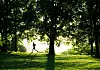 Oslo 20160815.En mann jogger i kveldssolen i Frognerparken mandag kveld. Sommer og sol. Vigelandsparken.