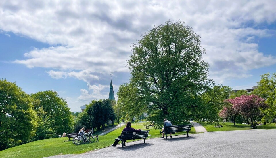 Nå skal det bli enda flere benker å sette seg ned på, for å slappe av og nyte utsikten utover byen, slik som her i Stensparken. Utsikt fra Stensparken