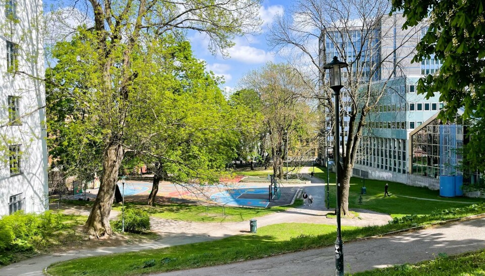 Kristparken er for tiden litt rufsete, men om kort tid settes det første spadestikket i jorda, og parken skal bli ny igjen. Kristparken