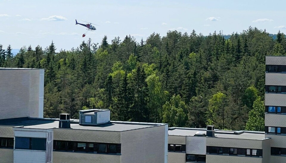 Det brant i terrenget ved Romsås fredag ettermiddag. Her trår brannhelikopter til med slukkingen. Brannhelikopter over Romsås-blokkene