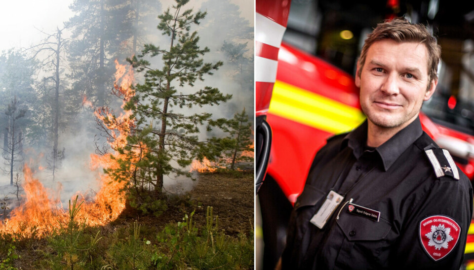 Skogbrann og Sigurd Folkerø Dalen, i Oslo brann- og redningsetat.
