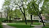 I likhet med Sofienbergparken er også Kristparken en tidligere kirkegård.