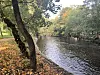 Akerselva i høstdrakt