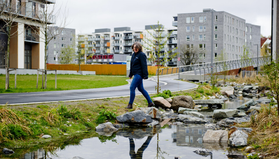 Oslo 20150430.Prosjektutvikler for 'Vann i by', Tharan Fergus, går over Hovinbekken på Ensjø. Oslo har gjort en rekke tiltak for å håndtere overflatevann blant annet ved å åpne byens bekker og elver.