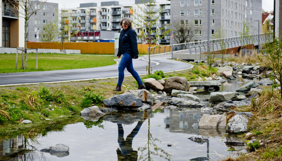 Oslo 20150430.Prosjektutvikler for 'Vann i by', Tharan Fergus, går over Hovinbekken på Ensjø. Oslo har gjort en rekke tiltak for å håndtere overflatevann blant annet ved å åpne byens bekker og elver.
