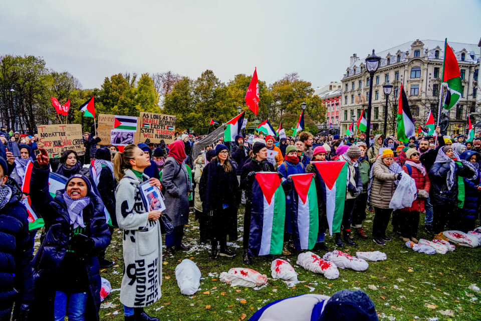 Demonstrasjon på Eidsvolls plass i forbindelse med at Danmark, Sverige, Finland og Island avsto fra å stemme over fredagens FN-resolusjon om umiddelbar, varig og vedvarende humanitær våpenhvile på Gaza.