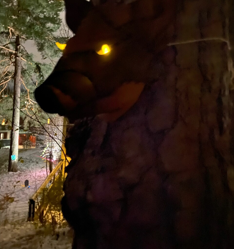Spøkelsesskogen mellom Elvefaret og Rønningen borettslag på Røa på Halloween.