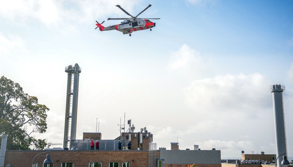 Marina Vladi ishtirokidagi porno film, Pank Samaliotda jinsiy aloqa