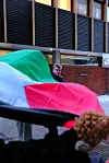 Rektor Svein Stølen og Palestina-flagg