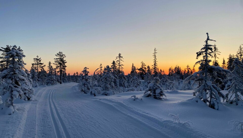 Søndagens vær er jo noe gråere enn hva det var i Nordmarka tidligere denne uka, men Nils Hovelsrud sier bildene fint viser mengden snø.