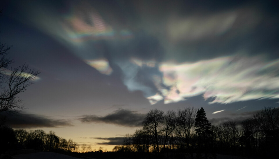 Oslo 20231219. Perlemorskyer på himmelen over Bygdøy i Oslo skaper en spesiell kveldsstemning tirsdag ettermiddag.Foto: Lise Åserud / NTB