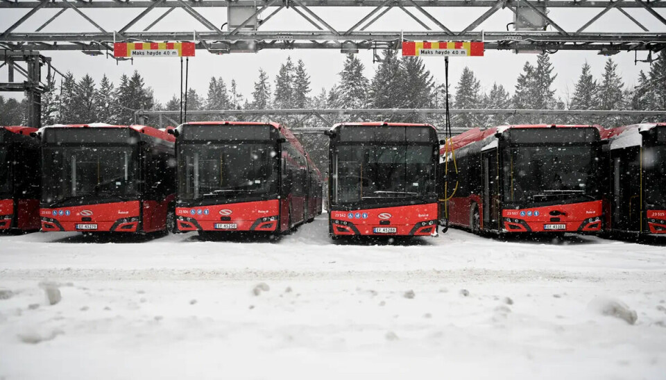Busser i snøvær