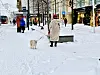 Hundeeier i Bogstadveien.