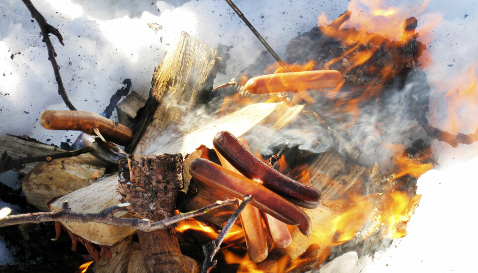 HOMMELVIK 20090303: Bål i snøen, og grilling av pølse. På tur. Turliv. Pølser på pinne holdes over bålet. Foto: Gorm Kallestad / NTB