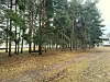 Furuholtet ved Valle Hovin stadion