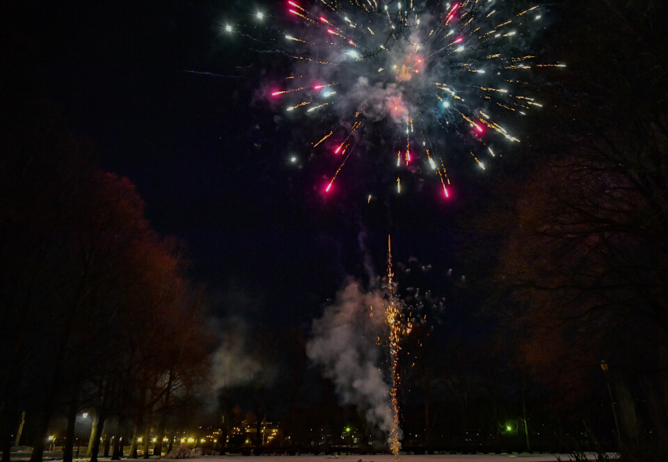 Oslo 20221231. Fyrverkeri skutt opp i Frognerparken, i god tid før midnatt på nyttårsaften.Foto: Rodrigo Freitas / NTB