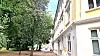 Rognebærtre i Ankerhagen på Ruseløkka