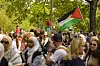 Solidaritetsfestivalen Visit Vestbredden 2024:For tredje år på rad gjennomføres en «kulturell okkupasjon» av Akerselvas vestbredde, en referanse til Israels okkupasjon på Vestbredden i Palestina.