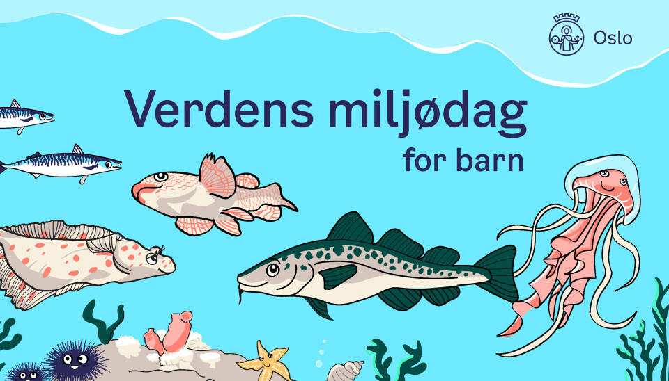 Bli med på Verdens miljødag for barn på SALT på søndag