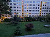 På Marienlyst har måkene sett seg ut en spesiell hage. Hit strømmer de til om sommerkveldene, og okkuperer plenen.
