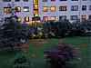 På Marienlyst har måkene sett seg ut en spesiell hage. Hit strømmer de til om sommerkveldene, og okkuperer plenen.