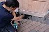 – Rotter trenger ikke store plassen for å komme seg inn i bygninger, sier Faiz Alam. På et tilfeldig bygg peker han på et klassisk eksempel på et hull der rottene enkelt kan komme seg inn.