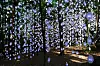 Det nyeste tilskuddet i Ekebergparken er video- og lydinstallasjonen, Nordic Pixel Forest, av den sveitsiske kunstneren Pipilotti Rist (62). Det er det største kunstprosjektet siden parken åpnet