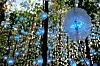 Det nyeste tilskuddet i Ekebergparken er video- og lydinstallasjonen, Nordic Pixel Forest, av den sveitsiske kunstneren Pipilotti Rist (62). Det er det største kunstprosjektet siden parken åpnet