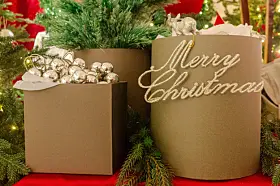 XmasCircus, Steen & Strøm